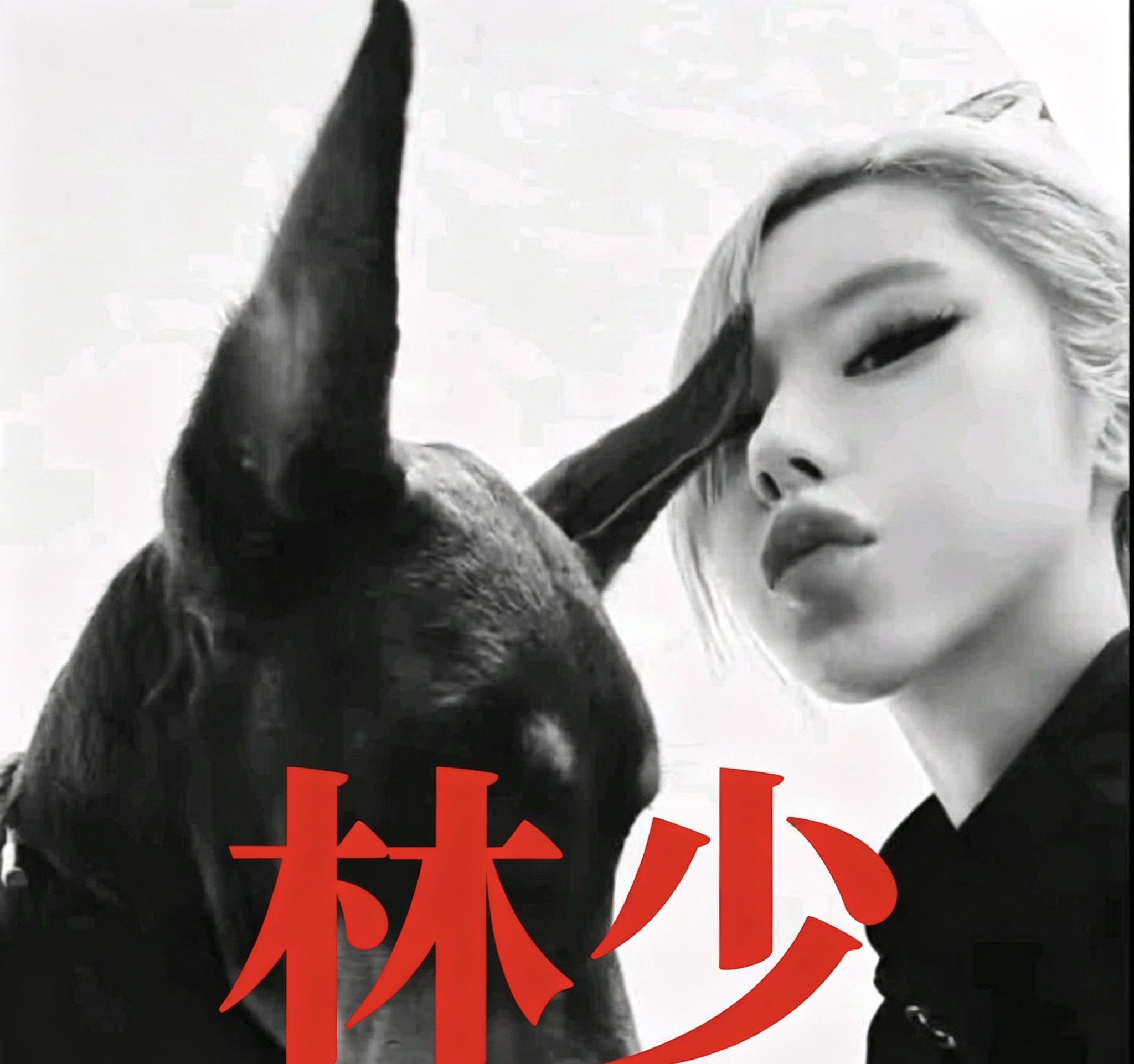 站点头像